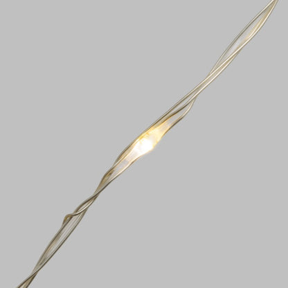 Chaîne 500 MicroLED Coil 25m câble argent transparent blanc chaud