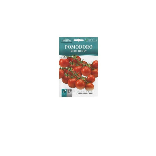 Tomate cerise rouge Big Harvest
