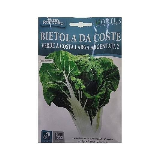 Bette à carde Costa Lunga Argentata 2 Grande Récolte