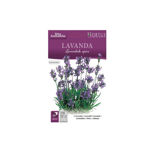 DB Lavande