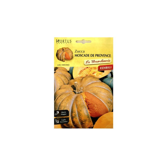 Citrouille Moscade de Provence extraordinaire