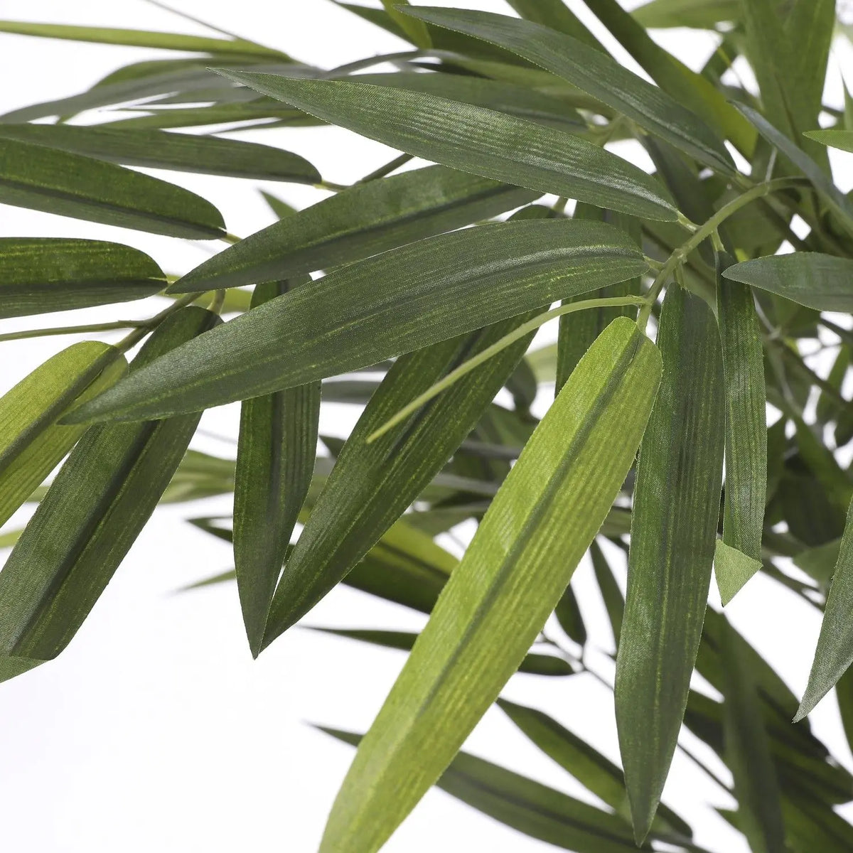 Bamboo nero artificiale in vaso H150 cm