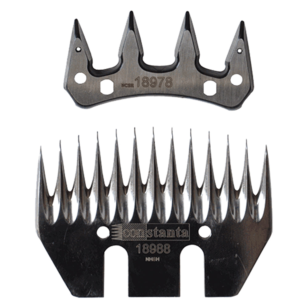 Paire de peignes de remplacement Albert Kerbl