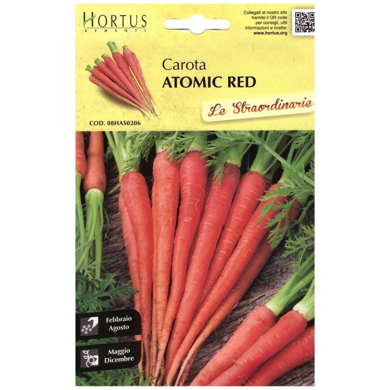 Carotte rouge atomique extraordinaire