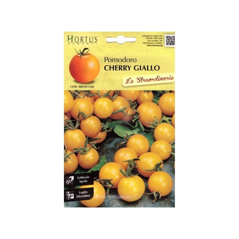Tomates cerises jaunes extraordinaires