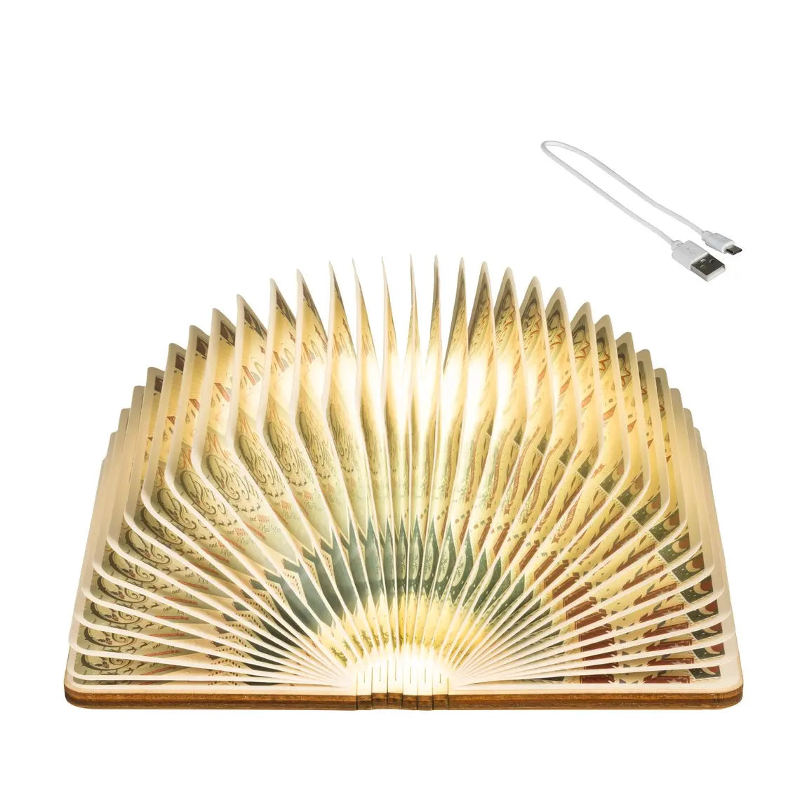Lampada libro LED bianco caldo e freddo H8,5 cm