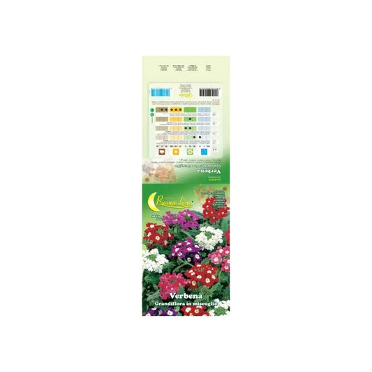 graines de verveine hybrida de jardin 10 pcs