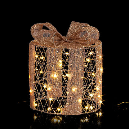 Pacco regalo Will oro con MicroLED Classic misura M