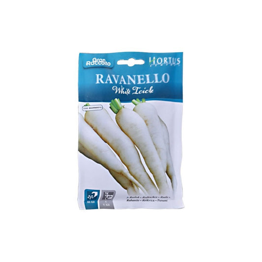 Radis Glaçon Blanc Grande Récolte