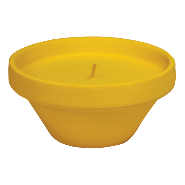 Vase Caribe en terre cuite à la citronnelle