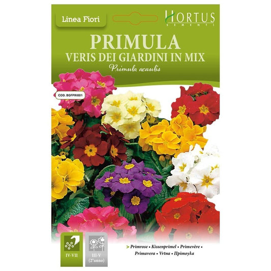 Primula veris Mélange de jardin DB