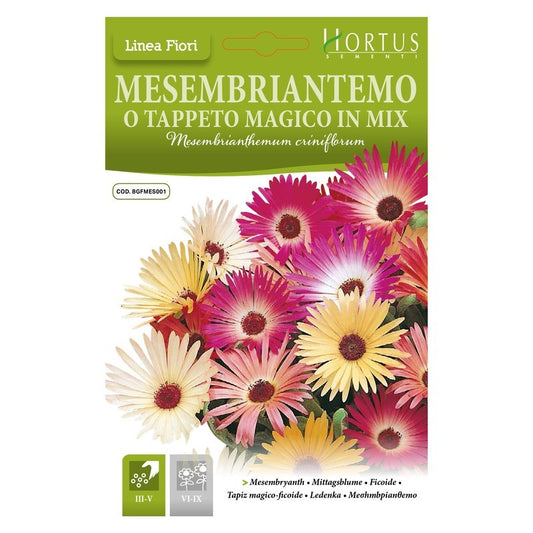Mélange de mésembrianthème ou tapis volant DB