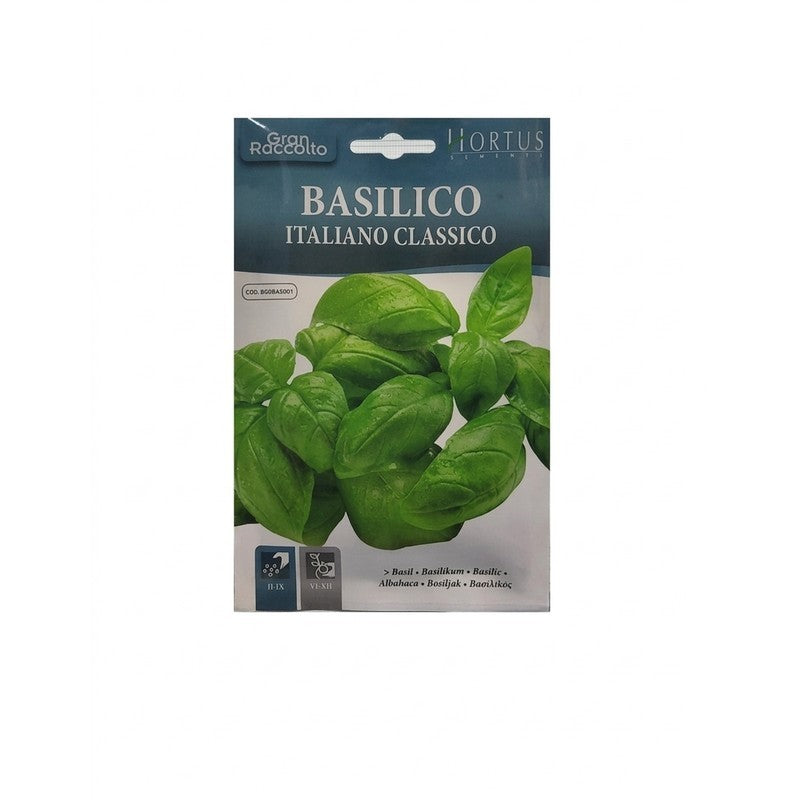 Basilic italien classique Gran Raccolto