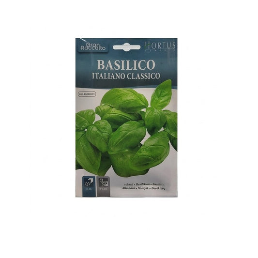 Basilic italien classique Gran Raccolto