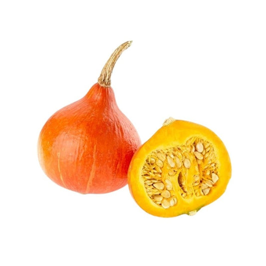 Citrouille Uchiki Kuri Hokkaido Asiatiques