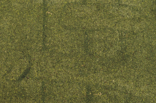 Carta con muschio naturale 50x70 cm