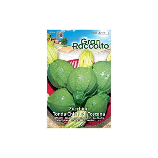 Courgette ronde de Toscane, Gran Raccolto
