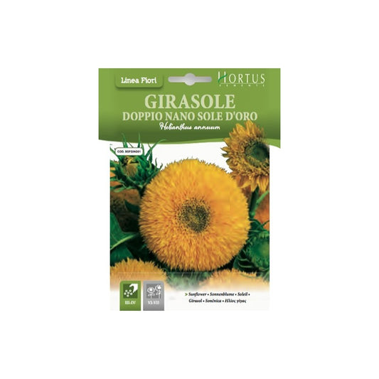 Tournesol nain Sole d'Oro DB