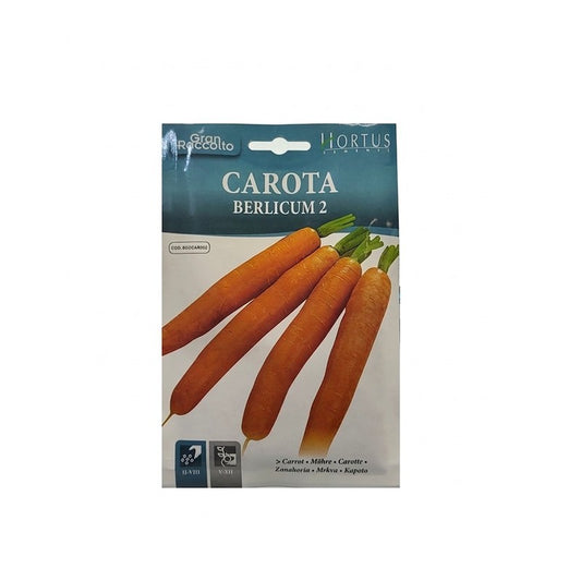 Carotte Berlicum 2 Grande Récolte
