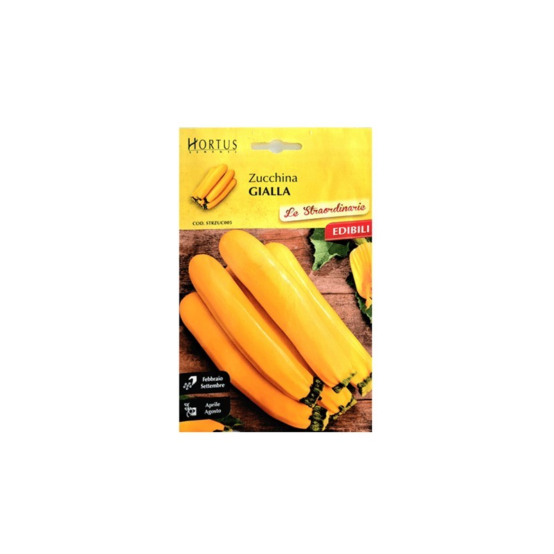 Courgettes jaunes extraordinaires