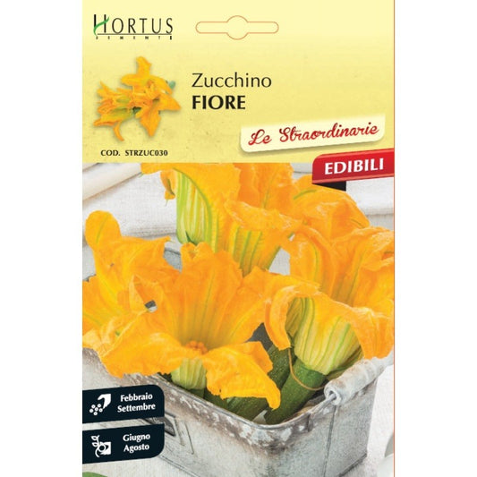 Fleurs de courgettes extraordinaires
