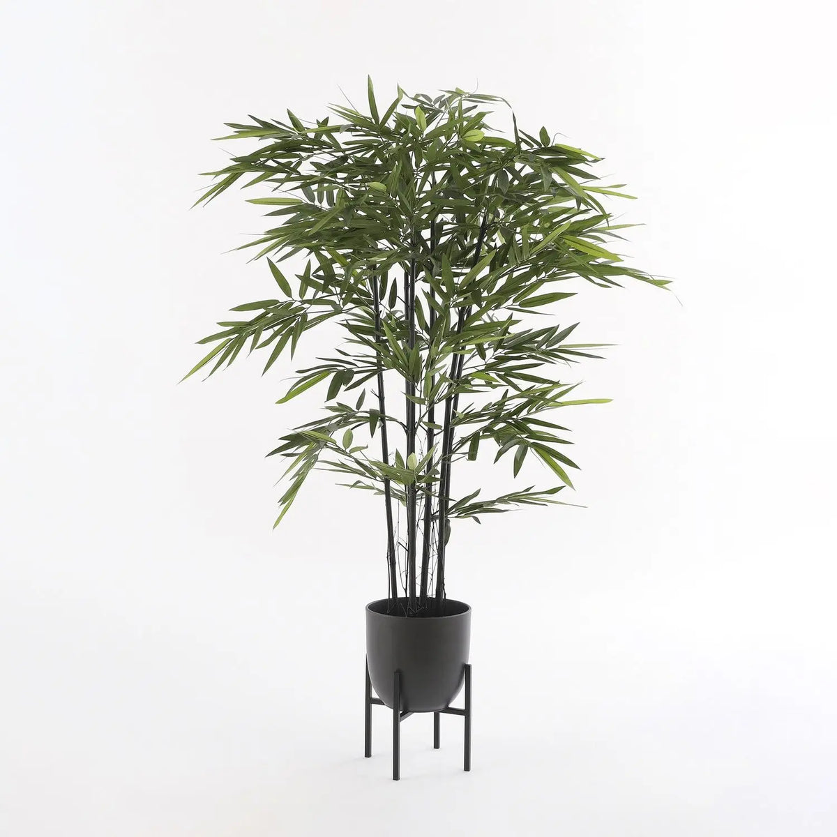 Bamboo nero artificiale in vaso H150 cm