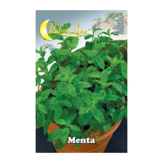 graines de légumes à la menthe 10 pcs